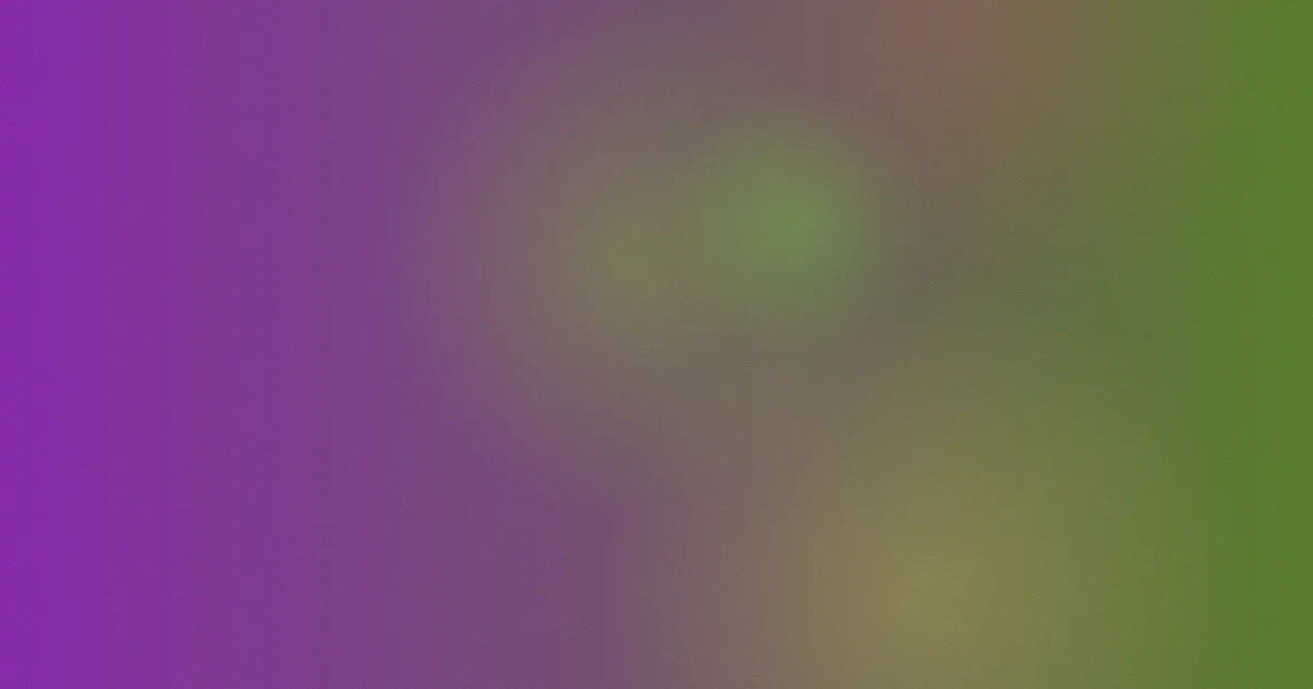 有你就幸福推荐：新手这样看